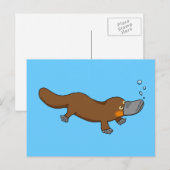 Cute swimming duck-bypus briefkaart (Voorkant / Achterkant)