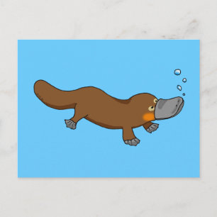 Cute swimming duck-bypus briefkaart