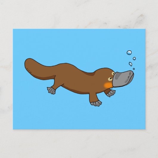 Cute swimming duck-bypus briefkaart (Voorkant)