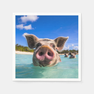 Cute Swimming Pig Exuma Bahamas Servet