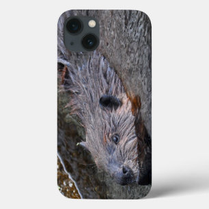 Cute Swimming Wild Beaver Wildlife Foto iPhone 13 Hoesje