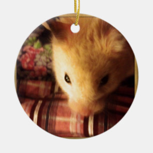 Cute Syrian Hamster Keramisch Ornament