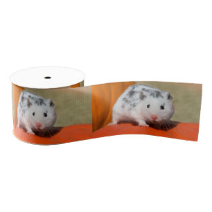 Cute Syrian Hamster White Black Spotted Funny Pet Grosgrain Lint