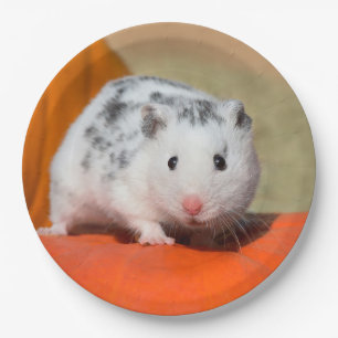 Cute Syrian Hamster White Black Spotted Funny Pet Papieren Bordje