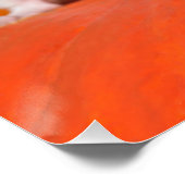 Cute Syrian Hamster White Black Spotted Funny Pet Perfect Poster (Hoek)