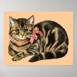 Cute Tabby Calico Cat/Kitten Poster