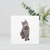 Cute Tabby Cat Aankondiging (Staand voorkant)