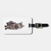 Cute Tabby Cat Bagagelabel (Voorkant horizontaal)