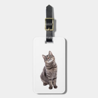 Cute Tabby Cat Bagagelabel
