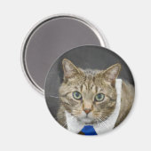 Cute Tabby Cat Brown Grey Blue Stropdas Pet Magneet (Voorkant / Achterkant)
