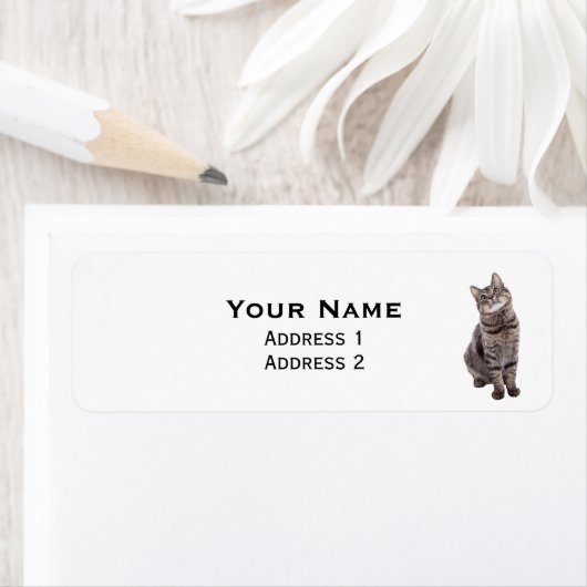 Cute Tabby Cat Etiket (Insitu)