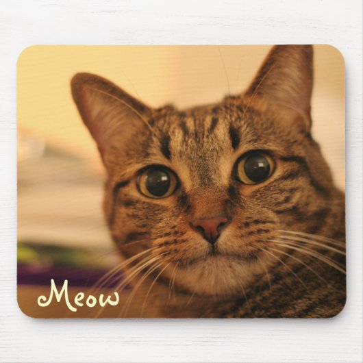 Cute tabby cat face mousepad muismat (Voorkant)