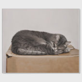 Cute Tabby Cat Gray Slaping Box Cadeaupapier (Vlak)