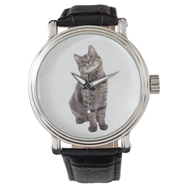 Cute Tabby Cat Horloge (Voorkant)