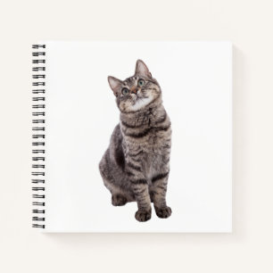 Cute Tabby Cat Notitieboek