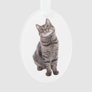 Cute Tabby Cat Ornament