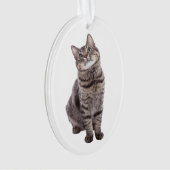 Cute Tabby Cat Ornament (voorkant)