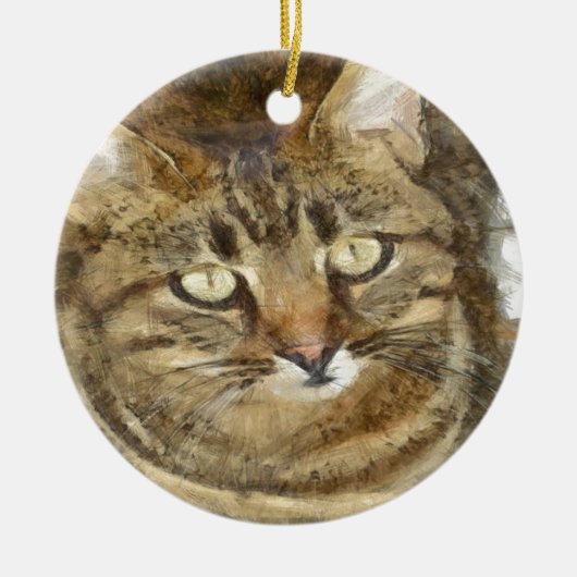 Cute Tabby die op potloodschets kijkt Keramisch Ornament (Voorkant)