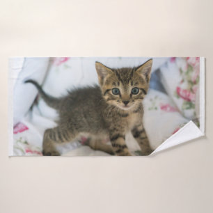 Cute Tabby Kitten À L'Air Surpris
