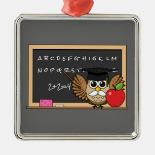 Cute Teacher Owl met Apple Cartoon Metalen Ornament