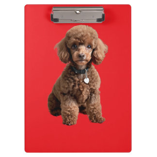  Cute Teacup Poodle Red Folder Klembord