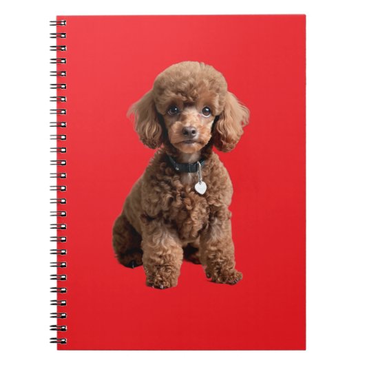 Cute Teacup Poodle Red Folder Notitieboek (Voorkant)