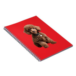  Cute Teacup Poodle Red Folder Notitieboek