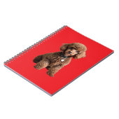  Cute Teacup Poodle Red Folder Notitieboek (Linkerzijde)
