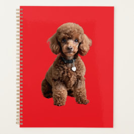  Cute Teacup Poodle Red Folder Planner