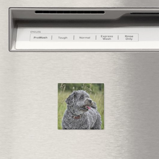 Cute Terrier Dog Magneet (Insitu (Vaatwasser))