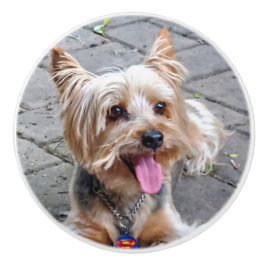 Cute Terrier Keramische Knop