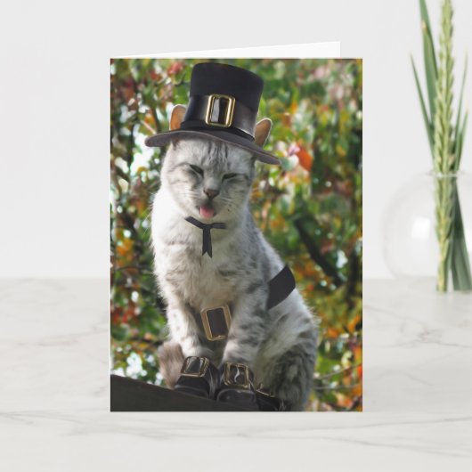 Cute Thanksgiving Pilgrim Cat Feestdagen Kaart (Voorkant)