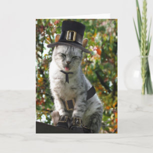 Cute Thanksgiving Pilgrim Cat Feestdagen Kaart