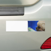 Cute Tibetan Spaniel Bumpersticker (Op auto)