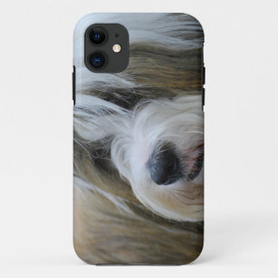 Cute Tibetan Terrier Dog iPhone 11 Hoesje