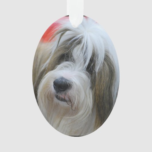 Cute Tibetan Terrier Dog Ornament (voorkant)