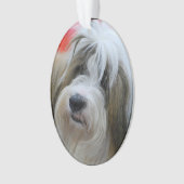 Cute Tibetan Terrier Dog Ornament (voorkant)