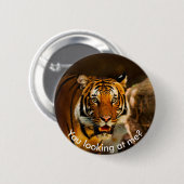 Cute Tiger in gras Ronde Button 5,7 Cm (Voorkant /achterkant)