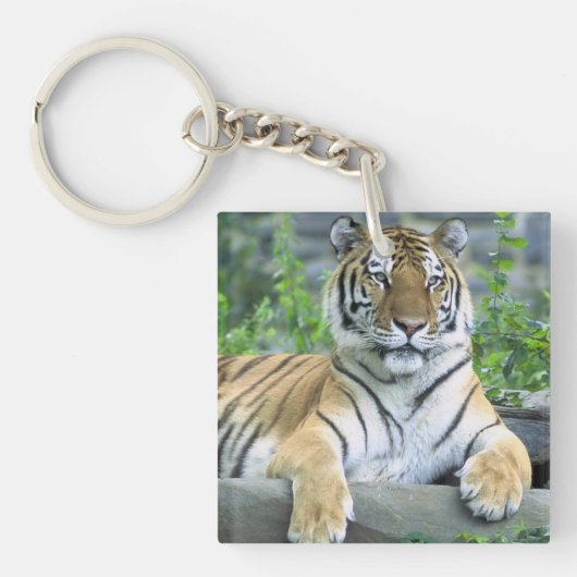 Cute Tiger in gras Sleutelhanger (Voorkant)