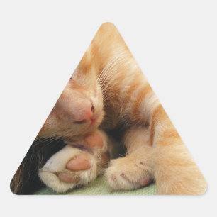 Cute Tiger Stripe Kitten Driehoek Sticker