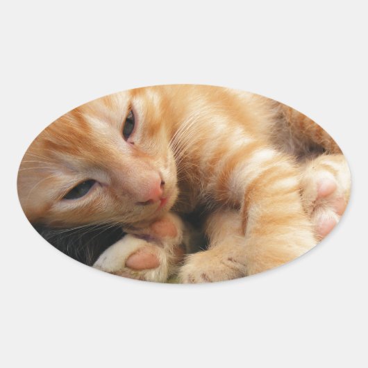 Cute Tiger Stripe Kitten Ovale Sticker (Voorkant)