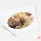 Cute Tiger Stripe Kitten Ovale Sticker (Envelop)
