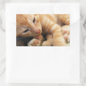 Cute Tiger Stripe Kitten Rechthoekige Sticker (Tas)