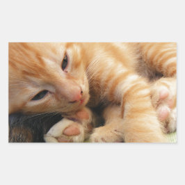 Cute Tiger Stripe Kitten Rechthoekige Sticker