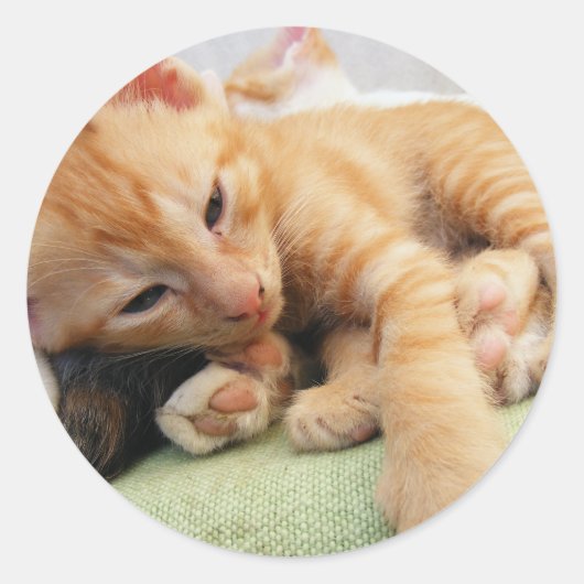Cute Tiger Stripe Kitten Ronde Sticker (Voorkant)