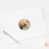 Cute Tiger Stripe Kitten Ronde Sticker (Envelop)