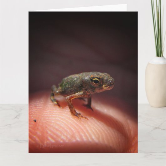 Cute Tiny Baby Toad / Tadpole Kaart (Voorkant)
