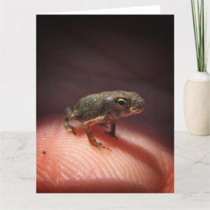 Cute Tiny Baby Toad / Tadpole Kaart