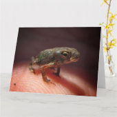 Cute Tiny Baby Toad / Tadpole Kaart (Gele Bloem)