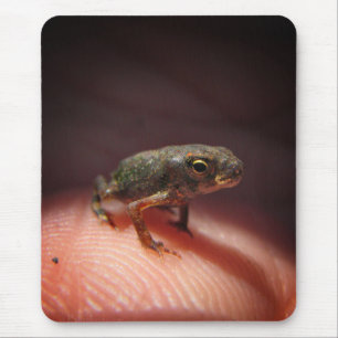 Cute Tiny Baby Toad / Tadpole Muismat